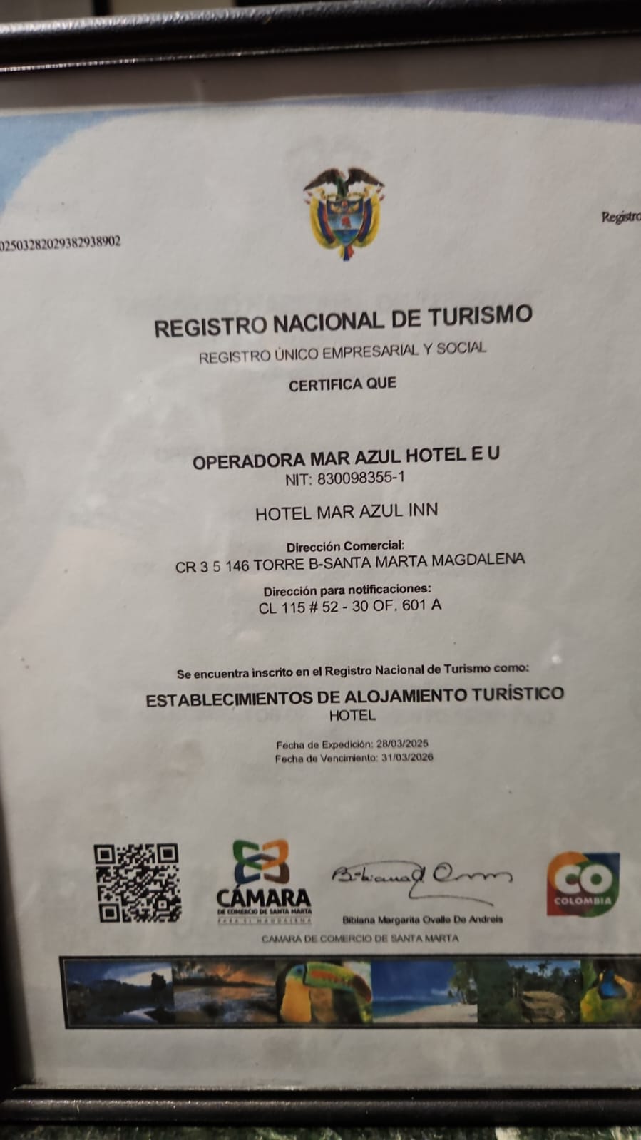 Texto, Carta

El contenido generado por IA puede ser incorrecto.